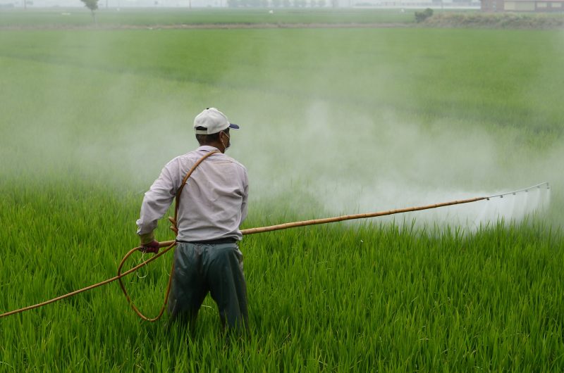 Pesticide and insecticide test
