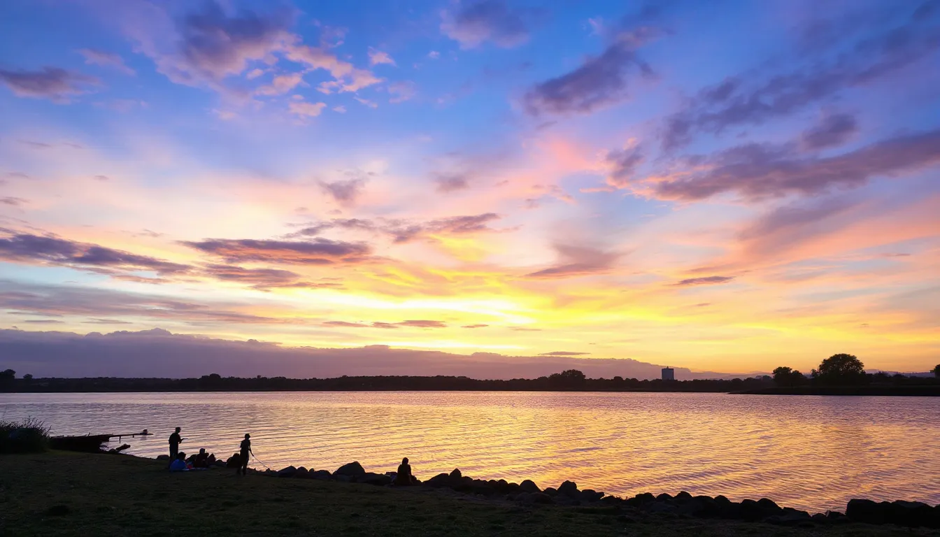 Diagram explaining what an organic acid test is.