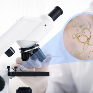 Worm and Helminths Screen