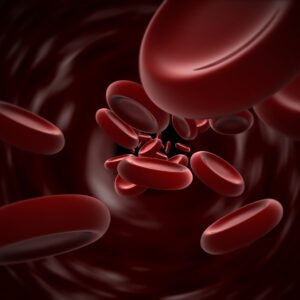 Vitamin B12 & Folate Test