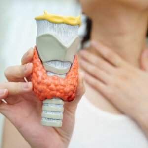 Thyroid Antibodies