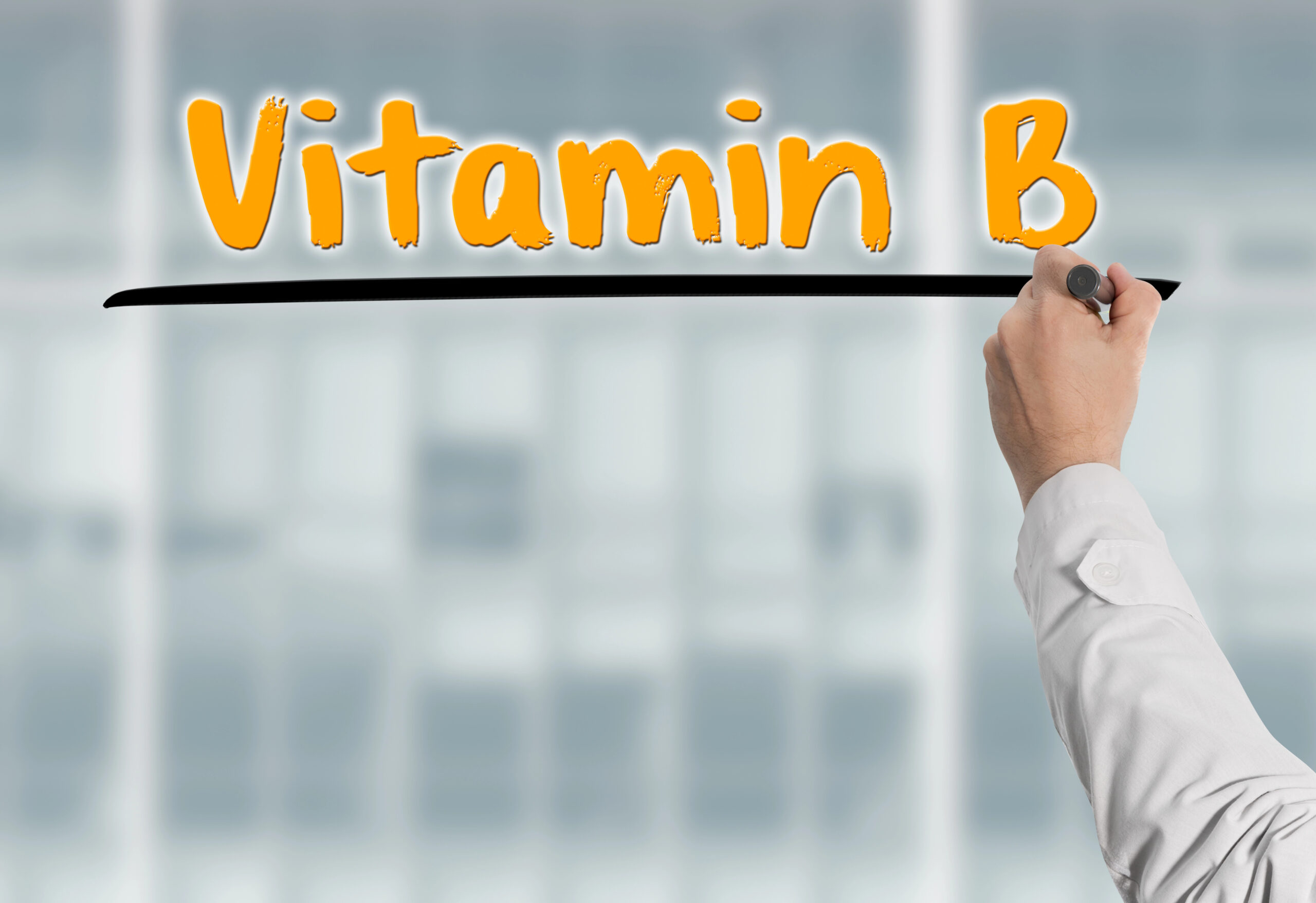 Vitamin B Profile