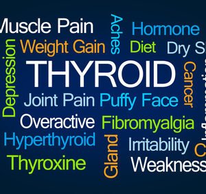 Thyroid Hormone TSH Test
