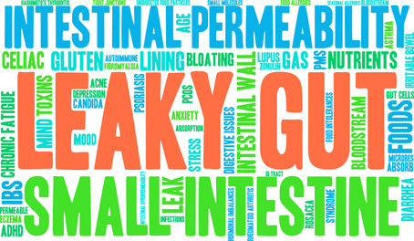 Intestinal Permeability And Leaky Gut Test
