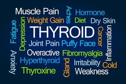 Thyroid Hormone TSH Test
