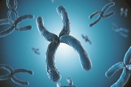 ONCONOMICS EXTRACTS +