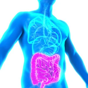 CDSA Level 3+ Comprehensive Digestive Stool Analysis