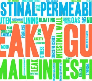 Intestinal Permeability And Leaky Gut Test