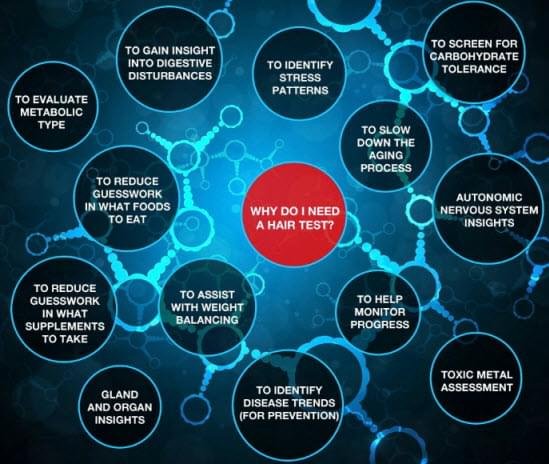 Hair Mineral Analysis Testing (HMA)